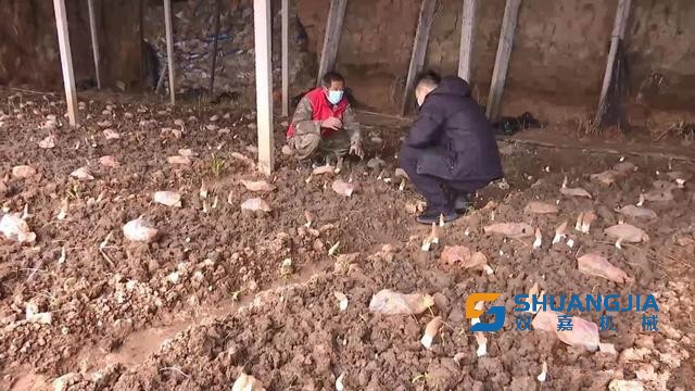 1649381182155066.jpg 11-18-12-38-283825.jpg