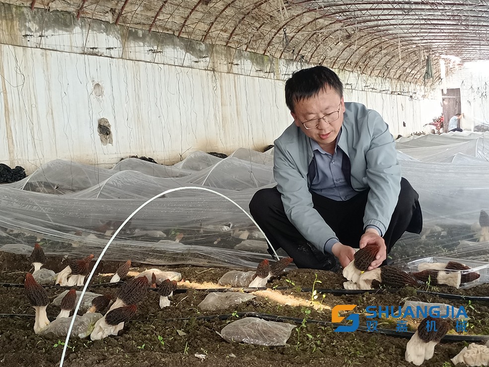 1649988959152434.jpg 14-52-02-85-283825.jpg