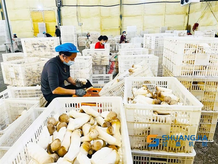 1650251471196514.jpg 10-35-54-10-283825.jpg