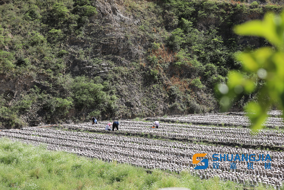 1652492515129603.png 15-46-50-62-283825.png