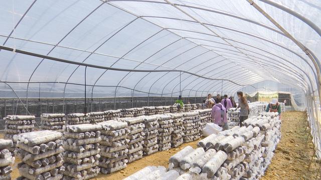 1652923453533132.jpeg 16-47-02-42-283825.jpeg