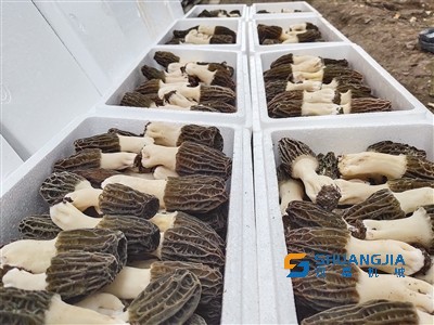 1652923686554357.jpg 17-00-31-64-283825.jpg