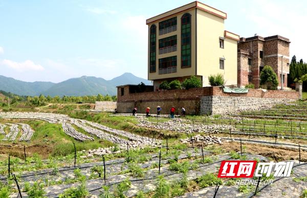 1653186210102984.jpeg 12-46-44-93-283825.jpeg