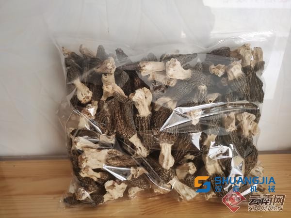 1653442136128327.jpg 11-22-44-69-283825.jpg