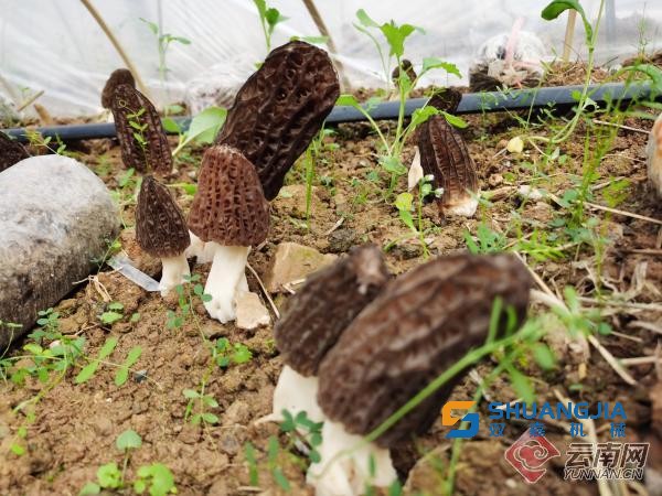 1653442183106134.jpg 11-23-29-28-283825.jpg