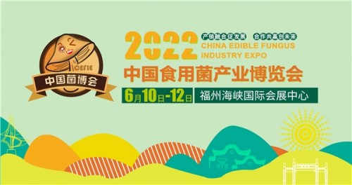 1653970709993982.jpeg 2205301413181951994309.jpeg