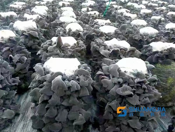 1654909630865466.jpg 15-55-30-72-283825.jpg