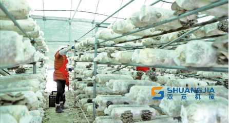 1672888986797841.png 09-43-16-45-283825.png